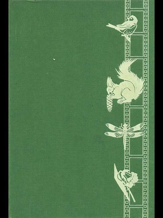 Fotografare la natura viva - Antonio Persico - copertina