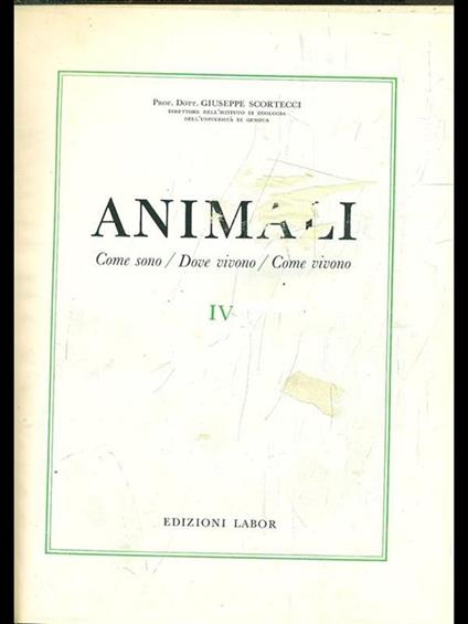 Animali IV - Giuseppe Scortecci - copertina