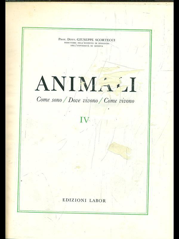Animali IV