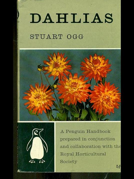 Dahlias - Stuart Ogg - copertina