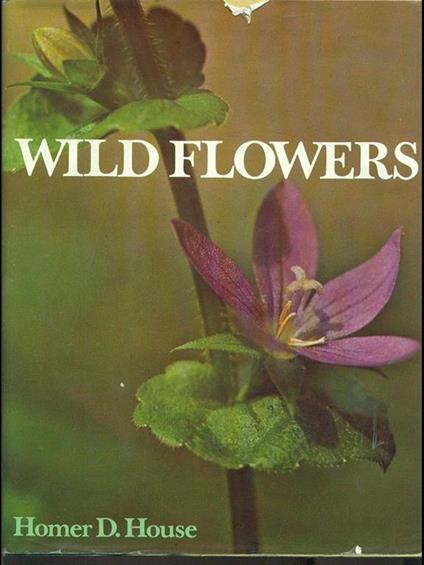 Wild flowers - copertina