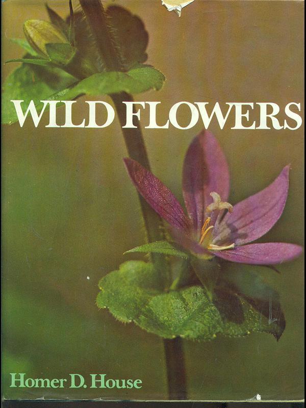 Wild flowers