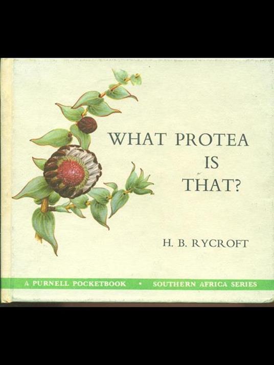 What Protea is that? - copertina