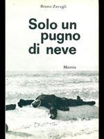 Solo un pugno di neve