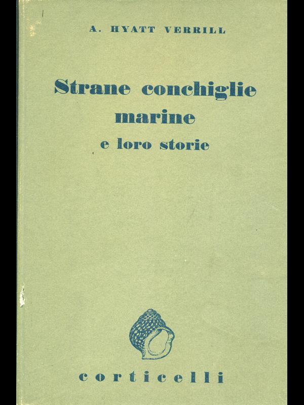 Strane conchiglie marine e loro storie
