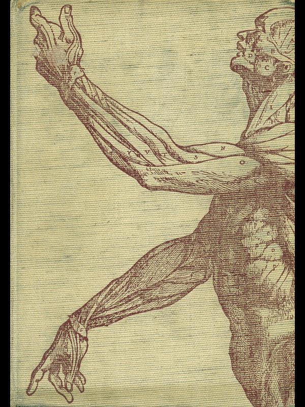 Le meraviglie del nostro corpo