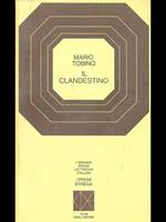 Il clandestino