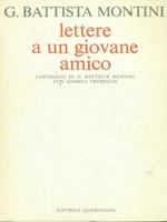 Lettere a un giovane amico