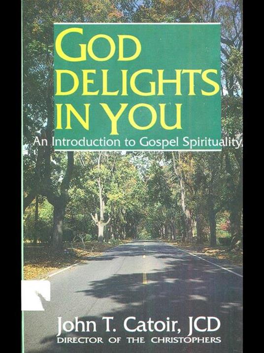 God delights in you - John T. Spike - copertina