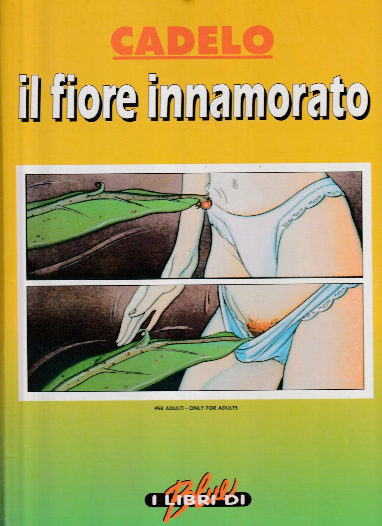 Libreria Tara
