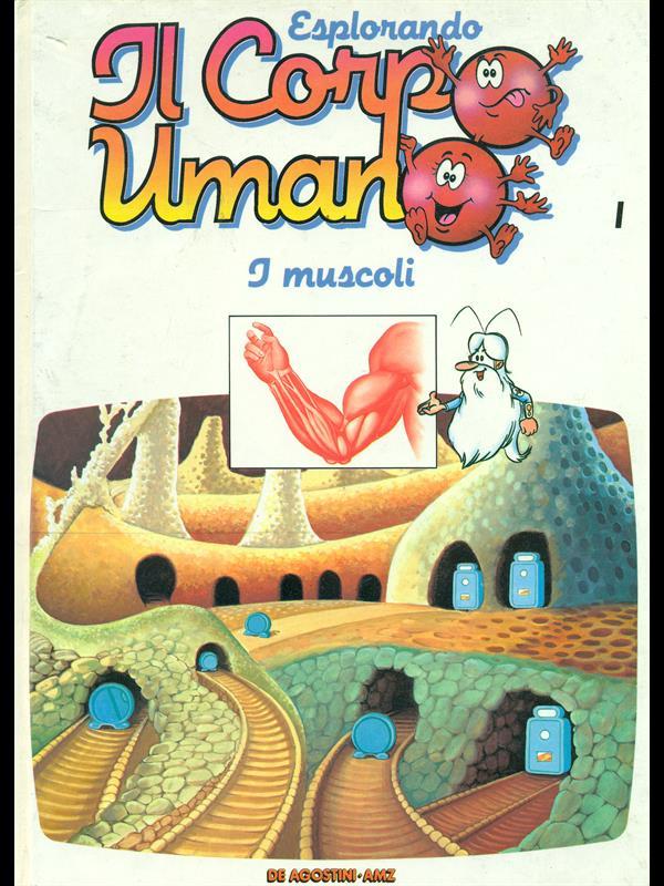 I muscoli