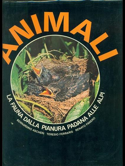 Animali - copertina
