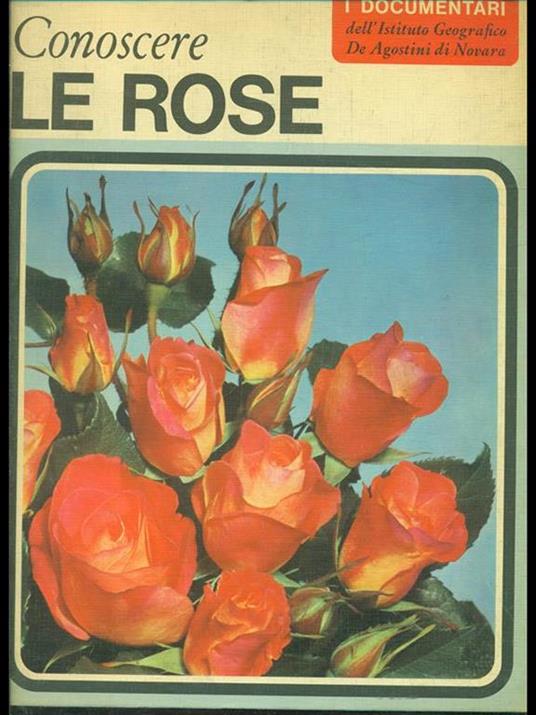 Conoscere le rose - Claudia Binelli - copertina