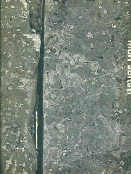 Muri abitati - Gianni Contessi - copertina