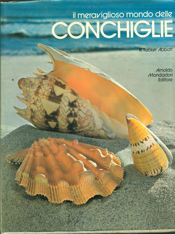 Il meraviglioso mondo delle conchiglie