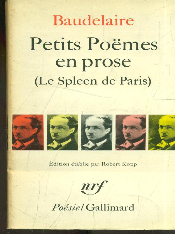 Petits poemes en prose