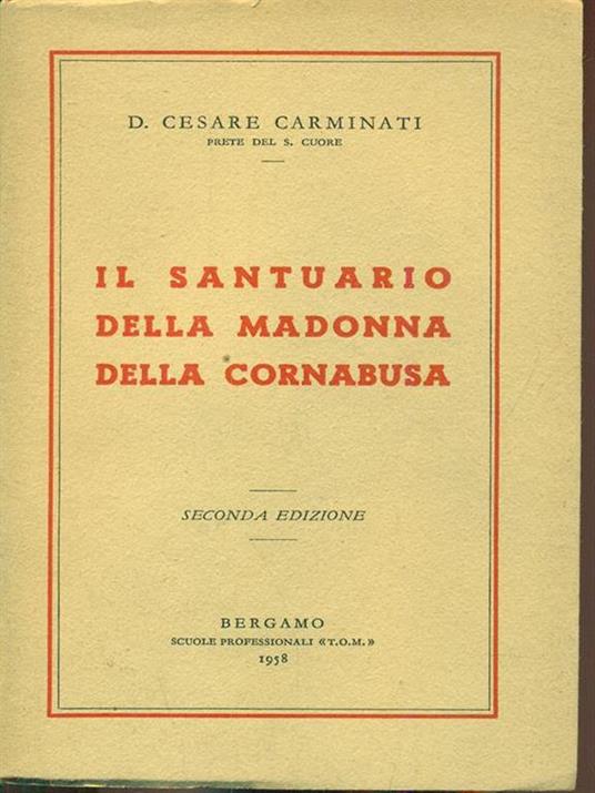 Il santuario della Madonna della Cornabusa - copertina