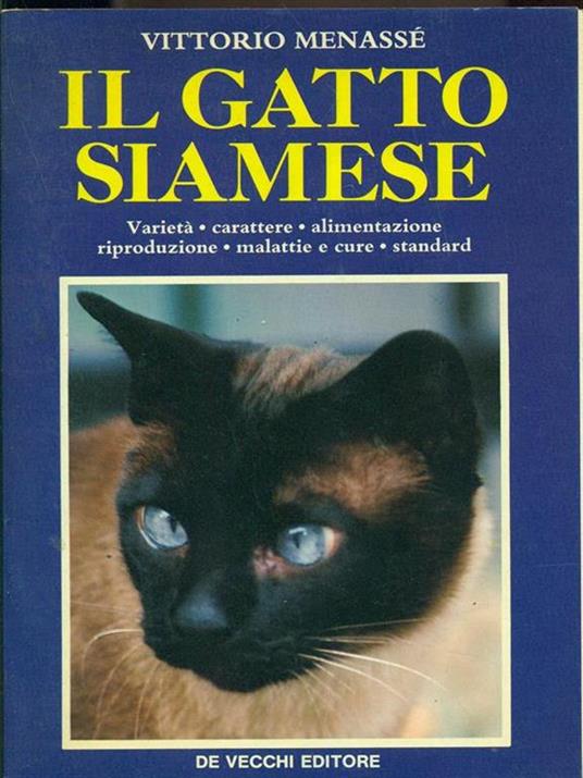 Il gatto siamese - Vittorio Menassé - copertina