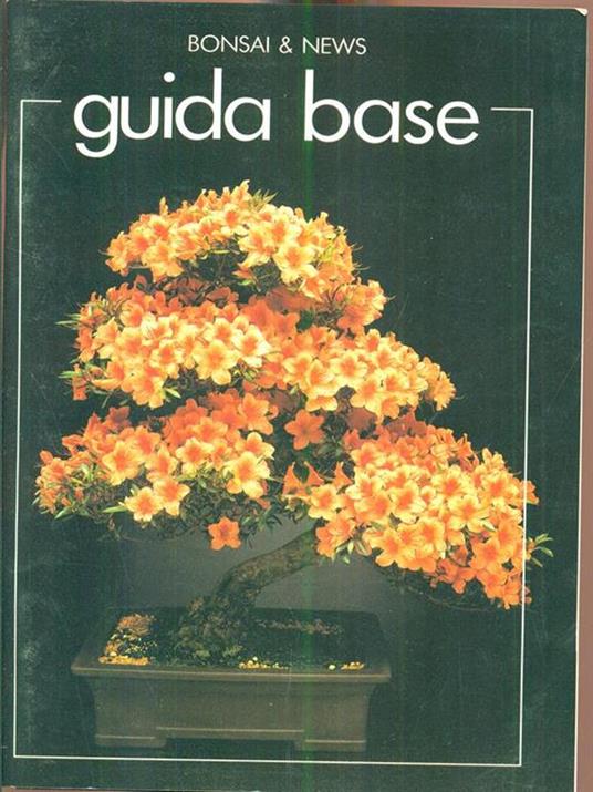 Guida base - copertina