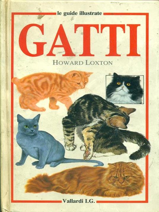 Gatti - copertina