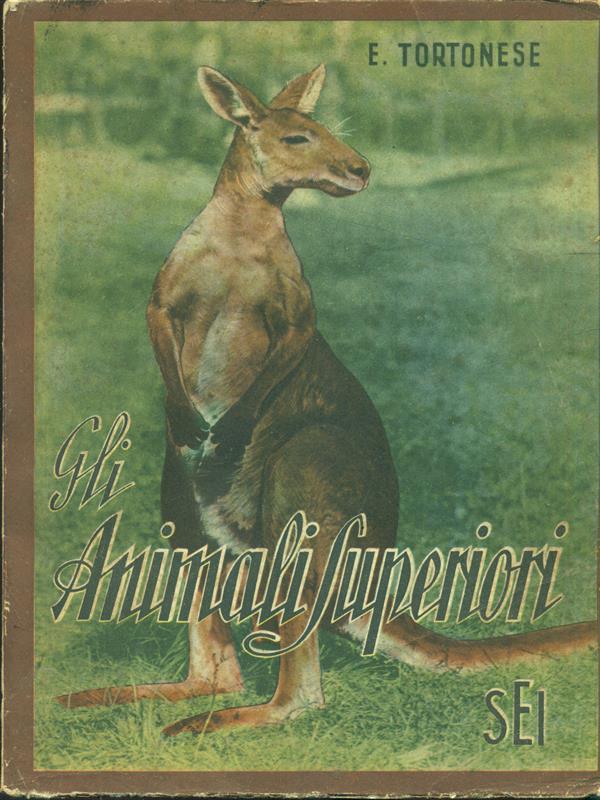 Gli animali superiori