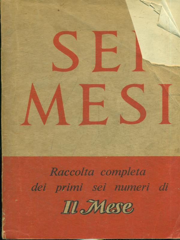 Sei mesi