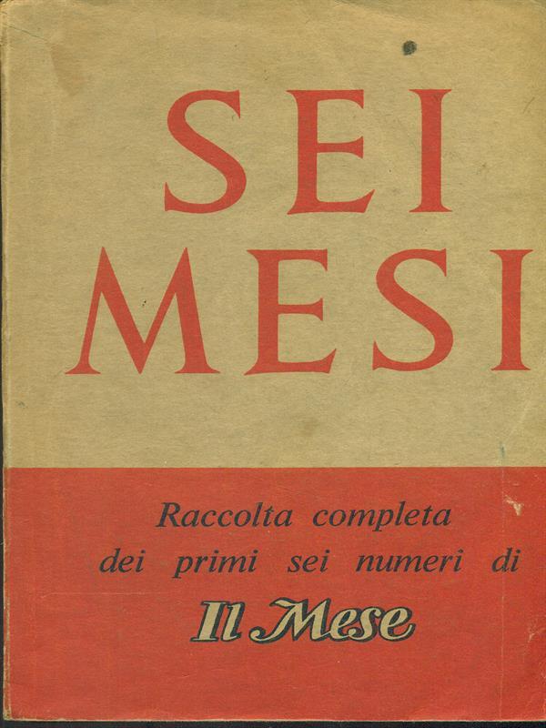 Sei mesi