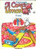 Esplorando il corpo umano 12 I reni