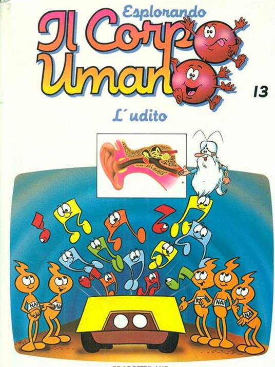 Esplorando il corpo umano 13 l'udito - copertina