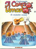 Esplorando il corpo umano 11 Il midollo osseo