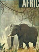 Africa