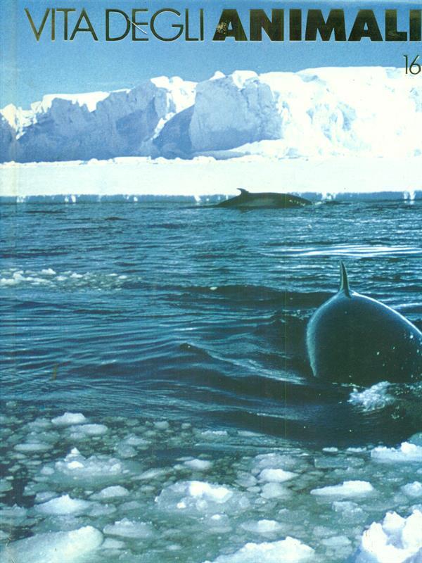 Vita degli animali 16