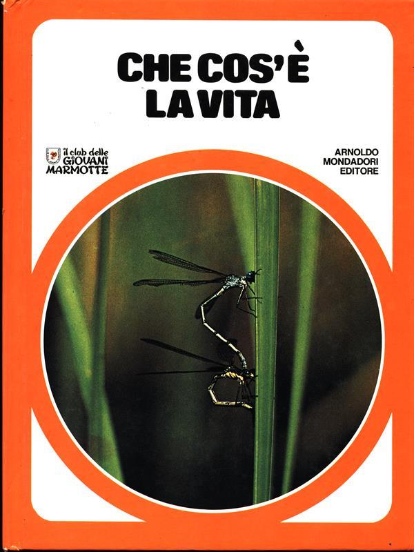 Libro di Faccia