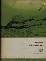 Il clandestino