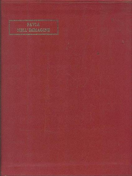 Pavia nell'immagine - copertina