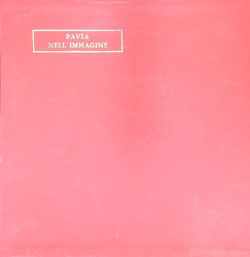 Pavia nell'immagine