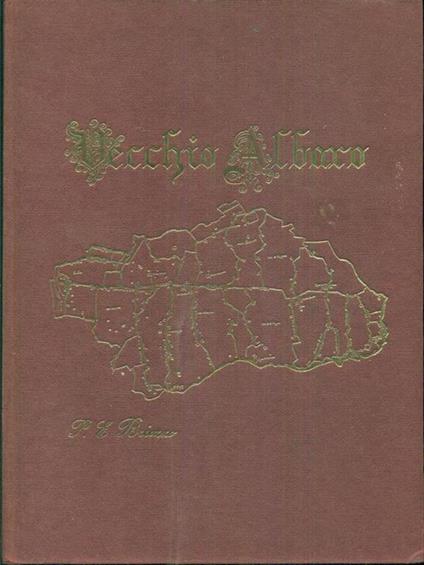 Vecchio Albaro - P. Briozzo - copertina