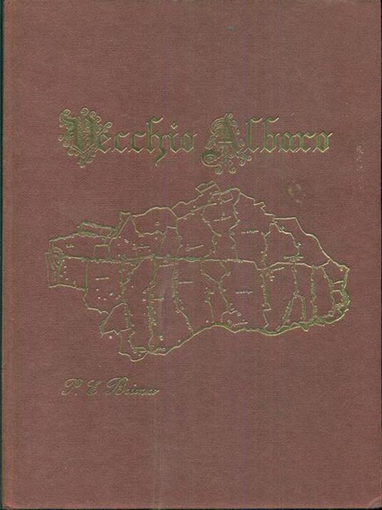 Vecchio Albaro - P. Briozzo - copertina