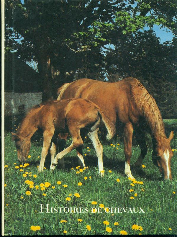 Histoires de chevaux