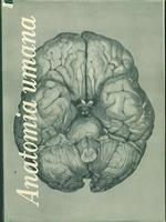 Trattato di anatomia umana II
