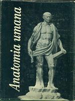 Trattato di Anatomia Umana IV
