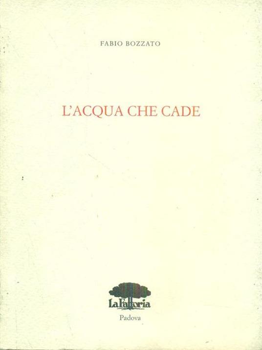 L' acqua che cade - Fabio Bozzato - copertina