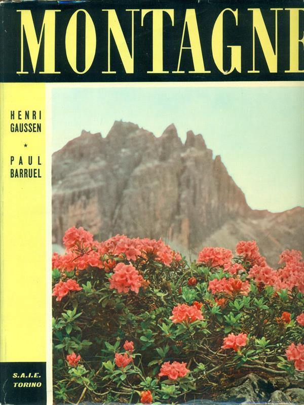 Montagne