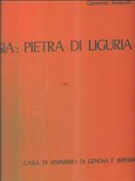 Ardesia pietra di Liguria