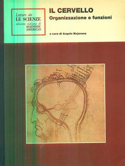 Il cervello organizzazione e funzioni - Angelo Majorana - copertina