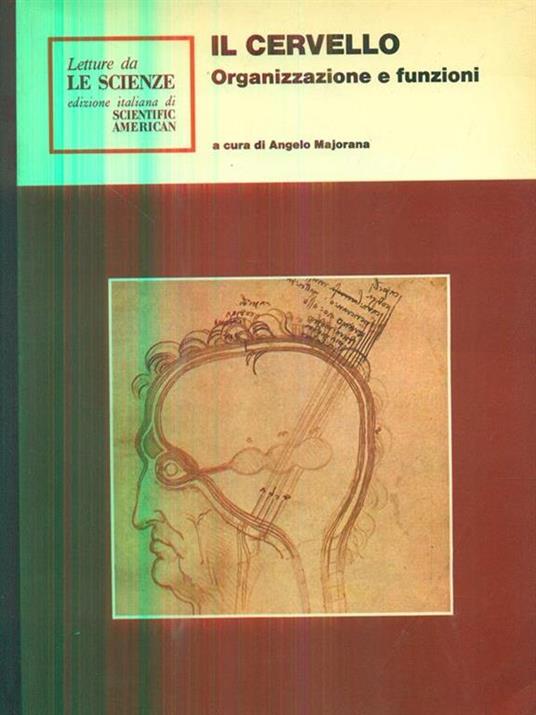 Il cervello organizzazione e funzioni - Angelo Majorana - copertina
