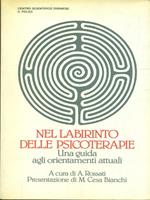 Nel labirinto delle psicoterapie