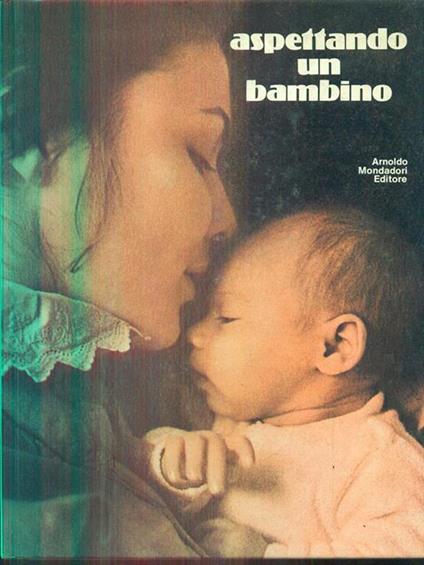 Aspettando un bambino - copertina