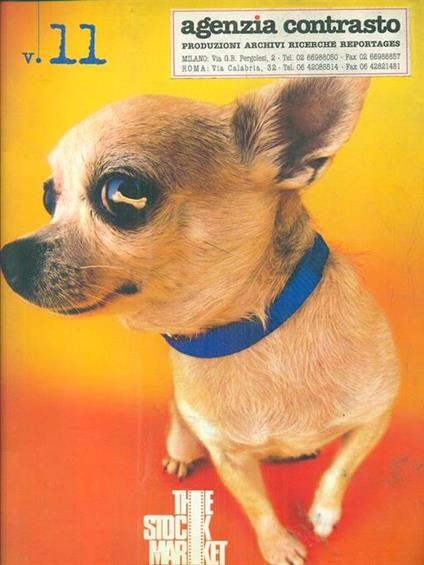 The stock market 11 - copertina