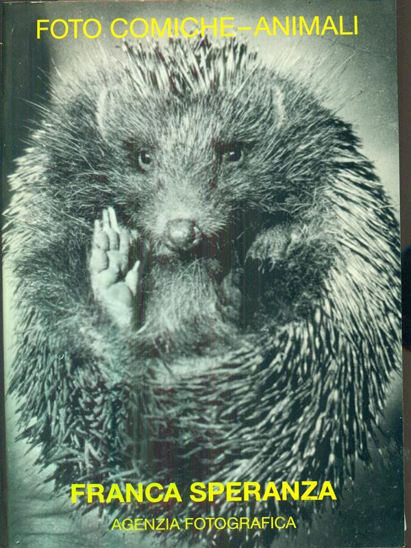 Foto comiche-animali